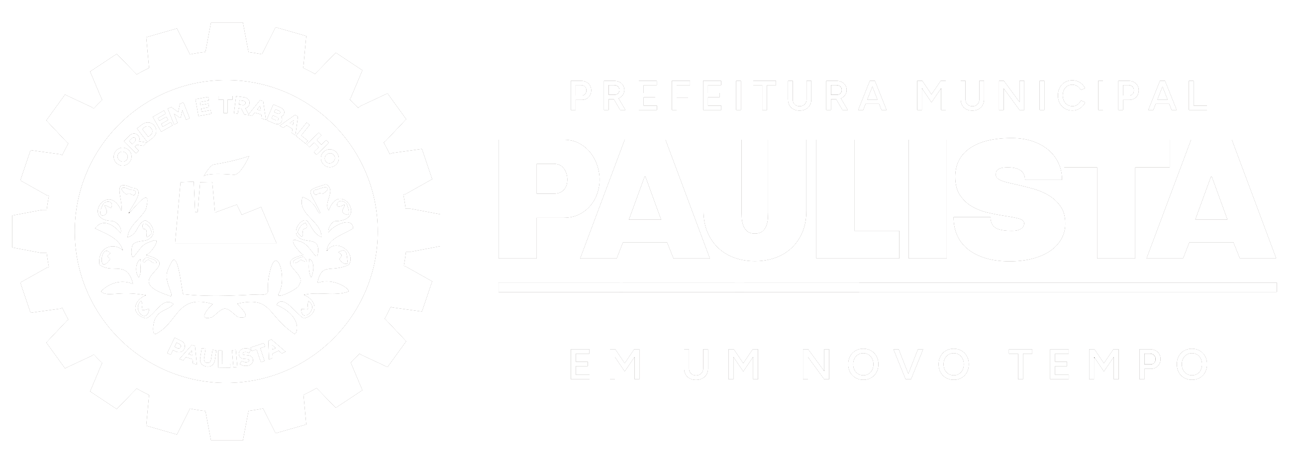 Atendente de Suporte